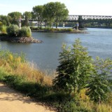 0909F 137 Mainmuendung